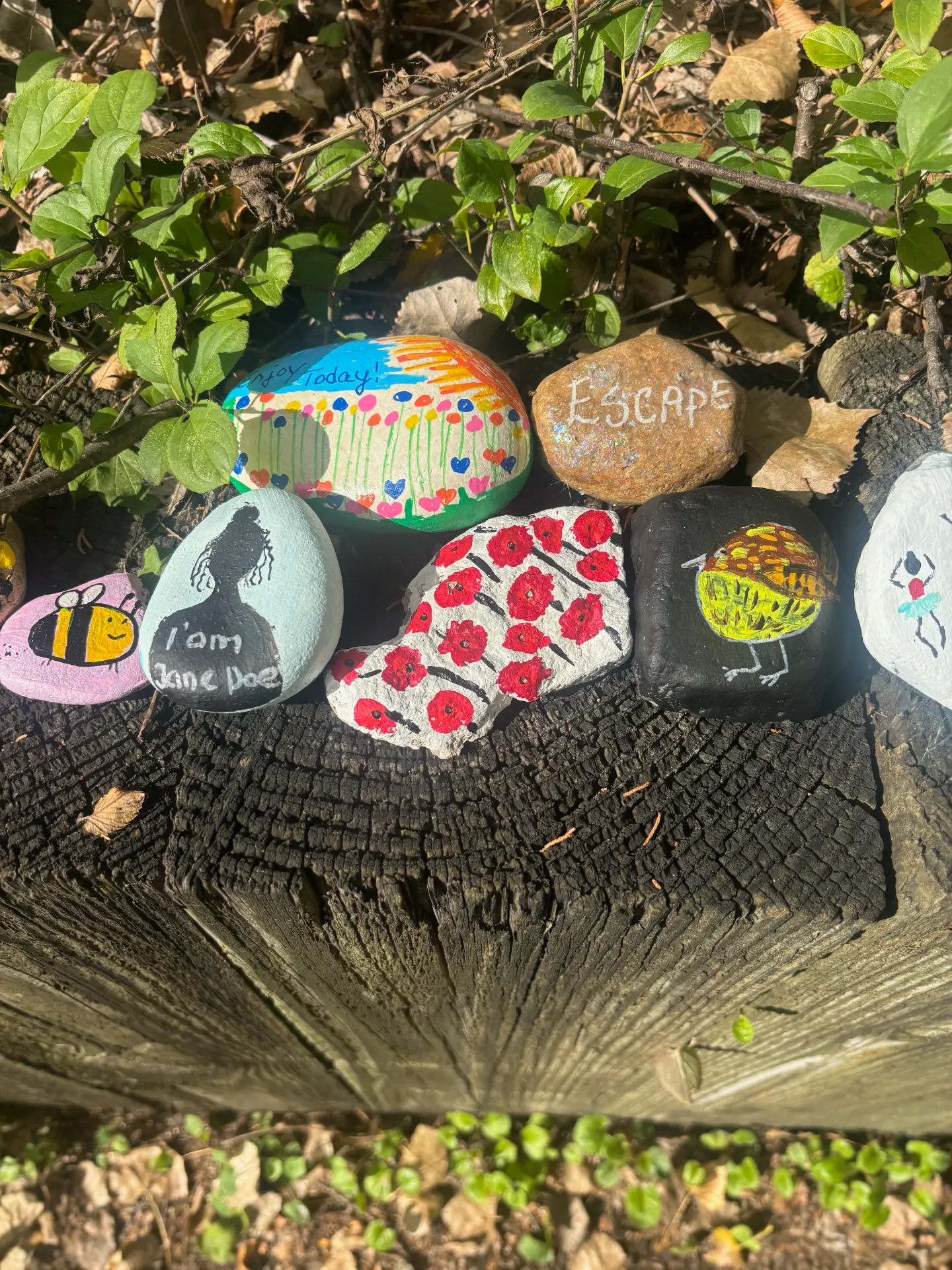 A pocketful of possibility: hand-painted rock art by JRT
