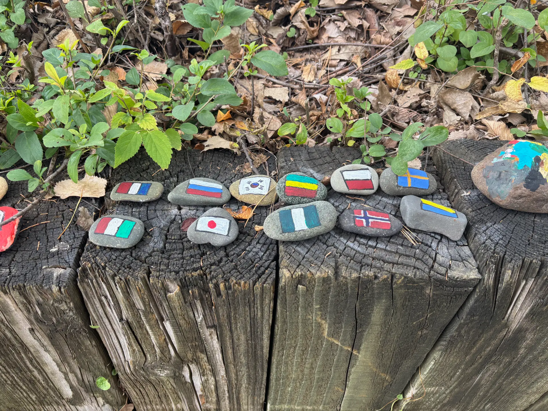 The world, one stone at a time: hand-painted rock art by JRT