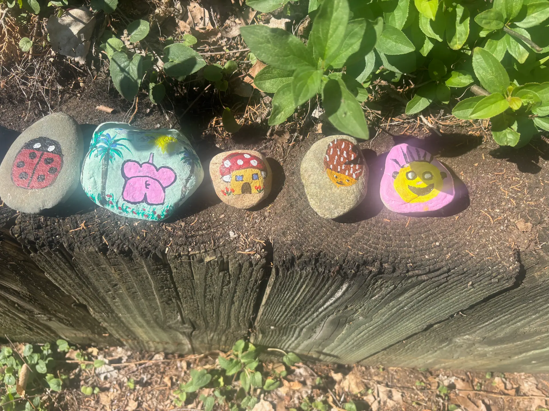 Tiny homes, happy hearts: hand-painted rock art by JRT