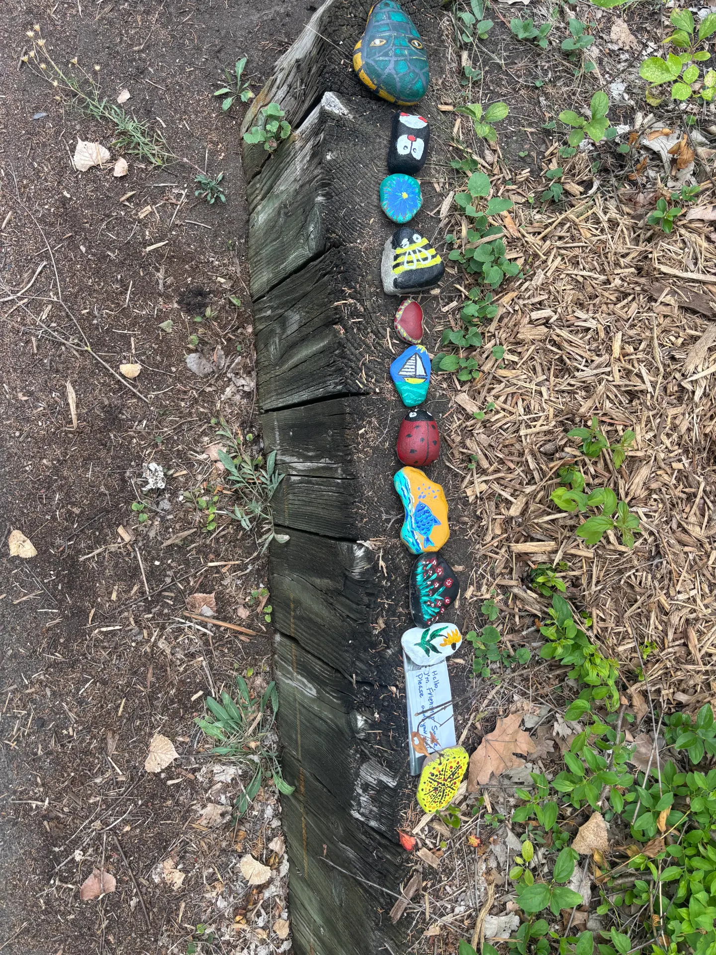 Hello, I’m Freddy Snake: hand-painted rock art by JRT