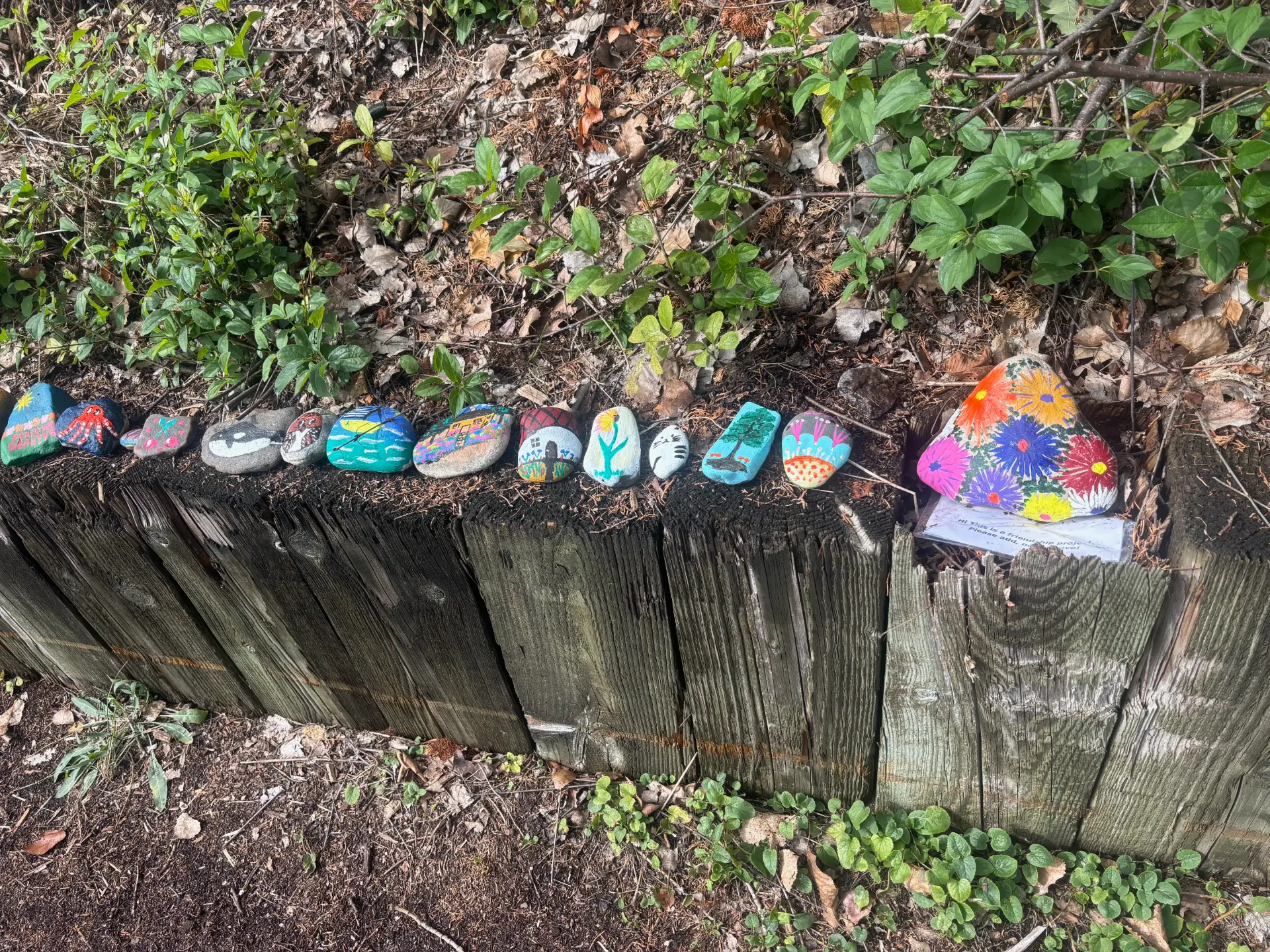 A shared canvas in the outdoors: hand-painted rock art by JRT