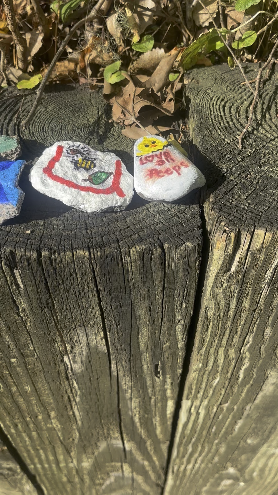 Love and little things: hand-painted rock art by JRT