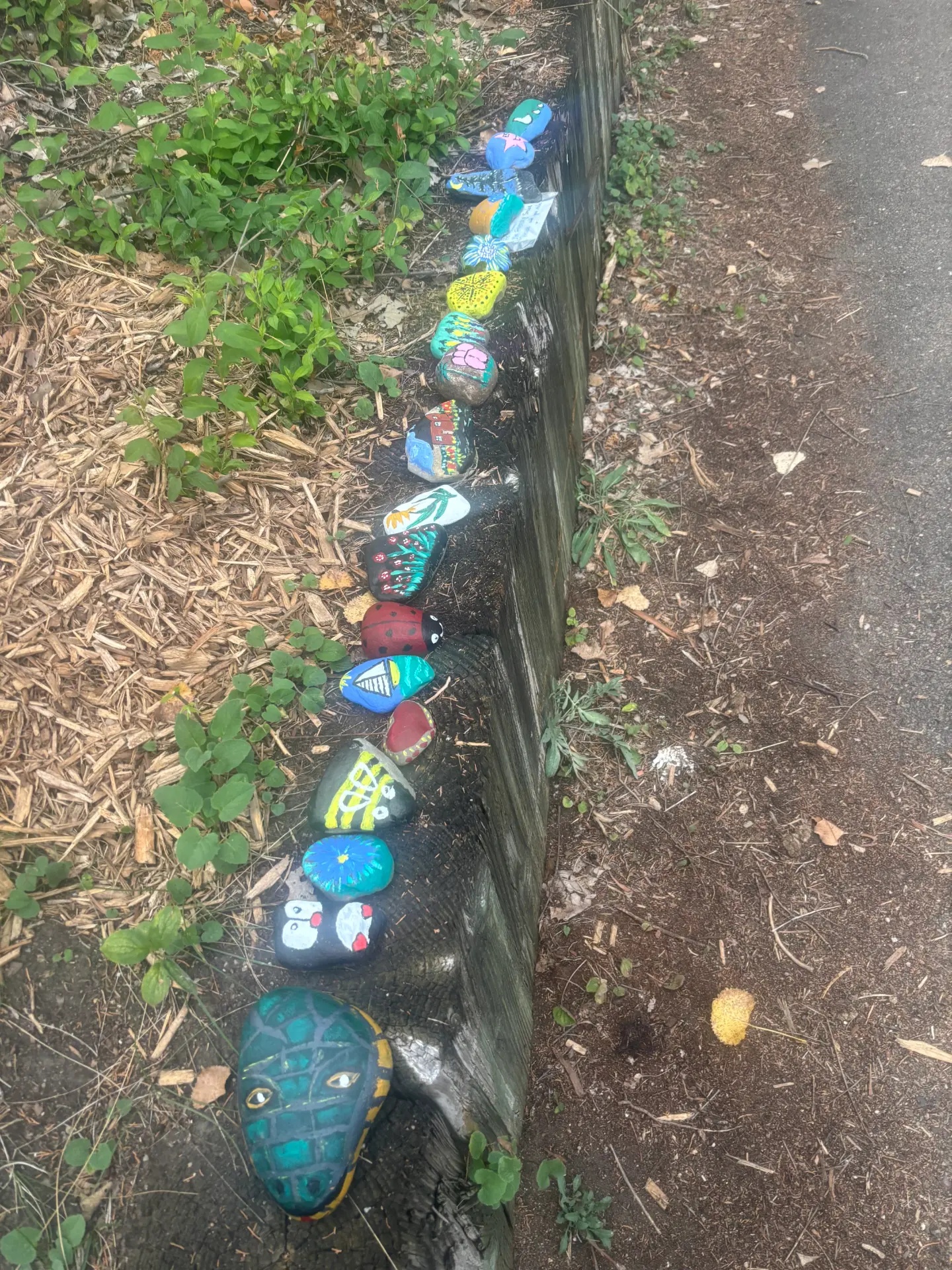 A friendship that keeps growing: hand-painted rock art by JRT