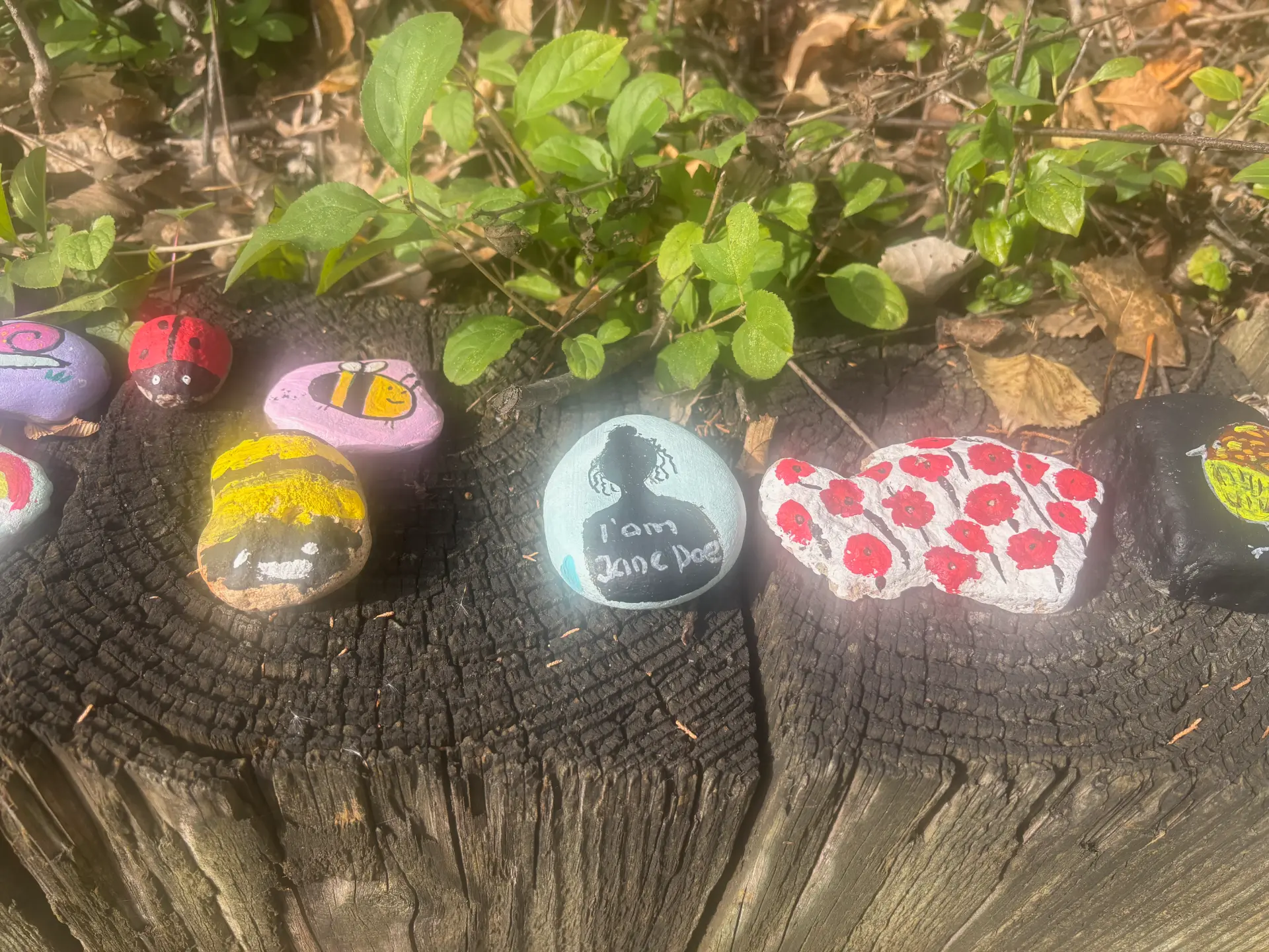 Poppies and personalities: hand-painted rock art by JRT