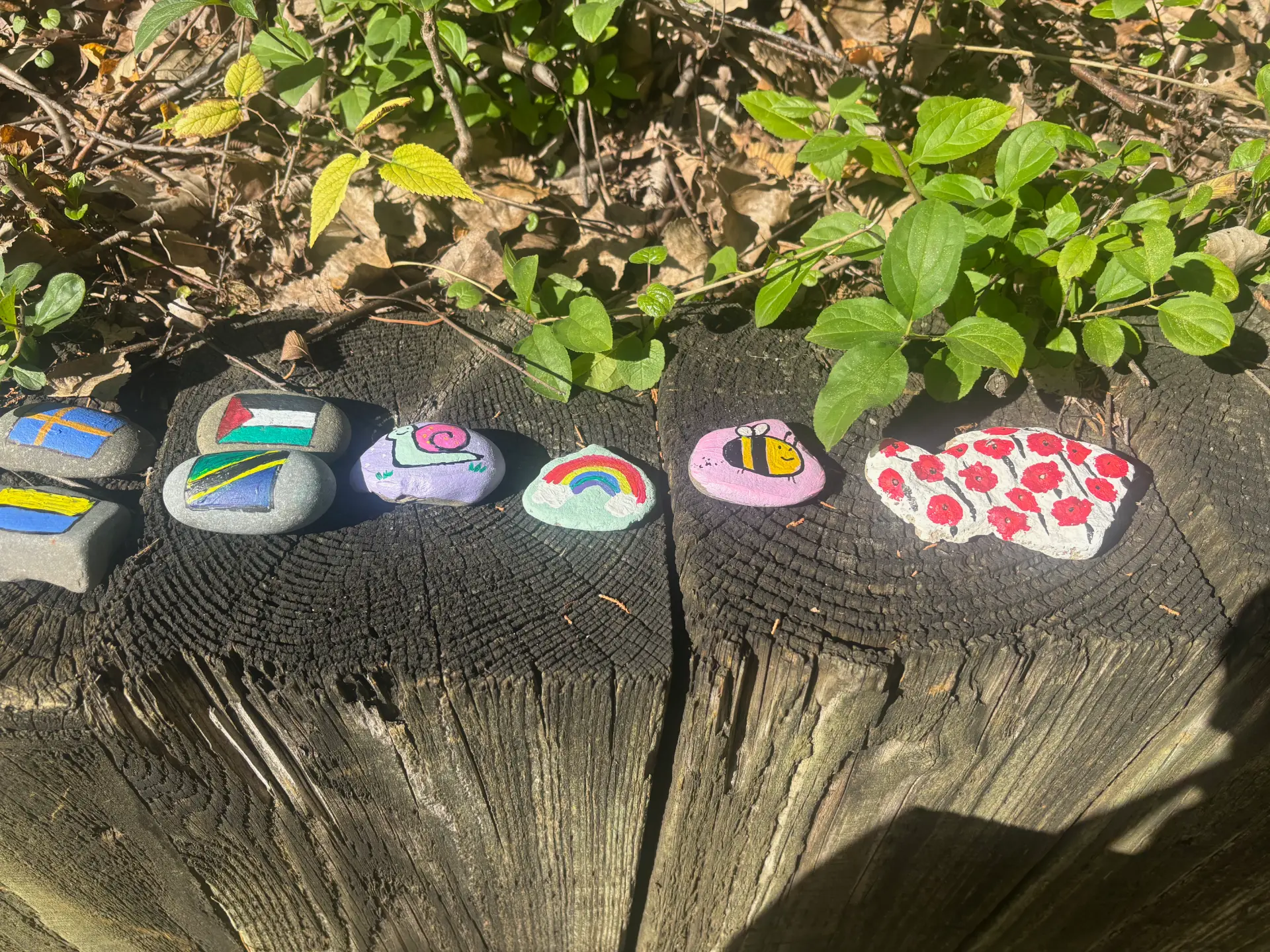 Hand-painted rainbow, bee, and poppy stones by JRT