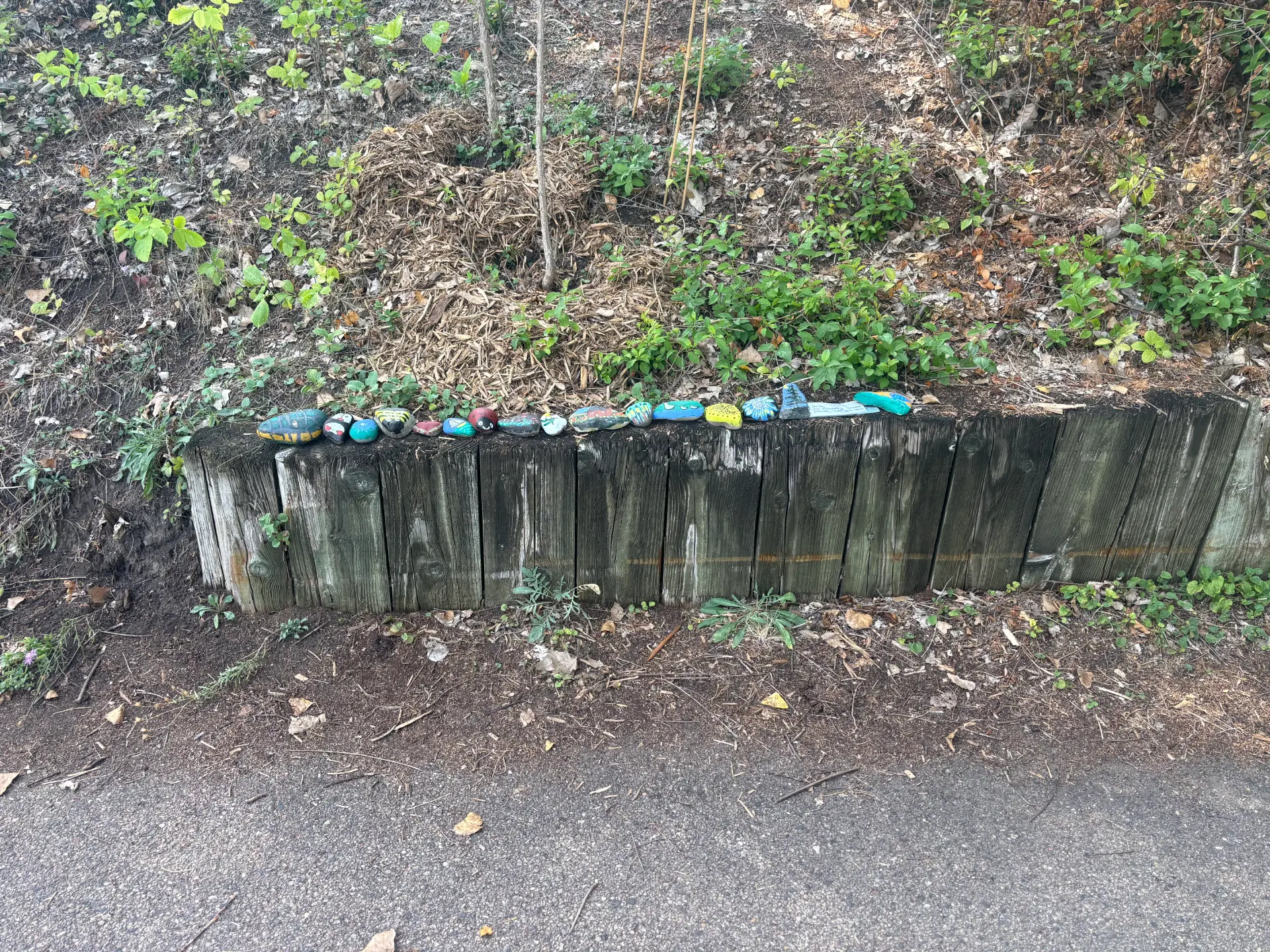 Freddy’s place in the neighborhood: hand-painted rock art by JRT
