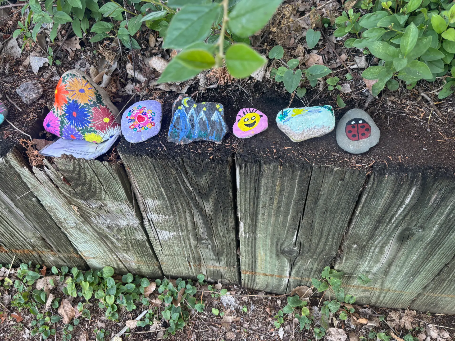 Flowers, stars & friendship: hand-painted rock art by JRT