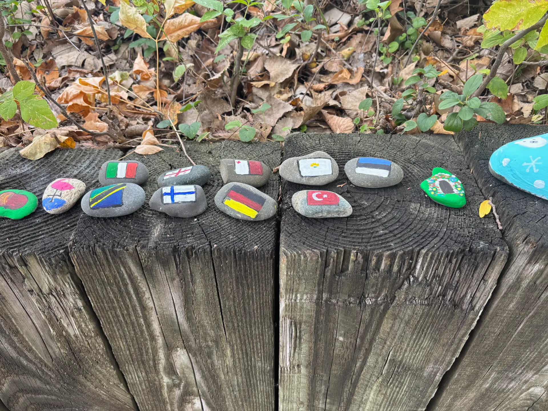 Colors without borders: hand-painted rock art by JRT