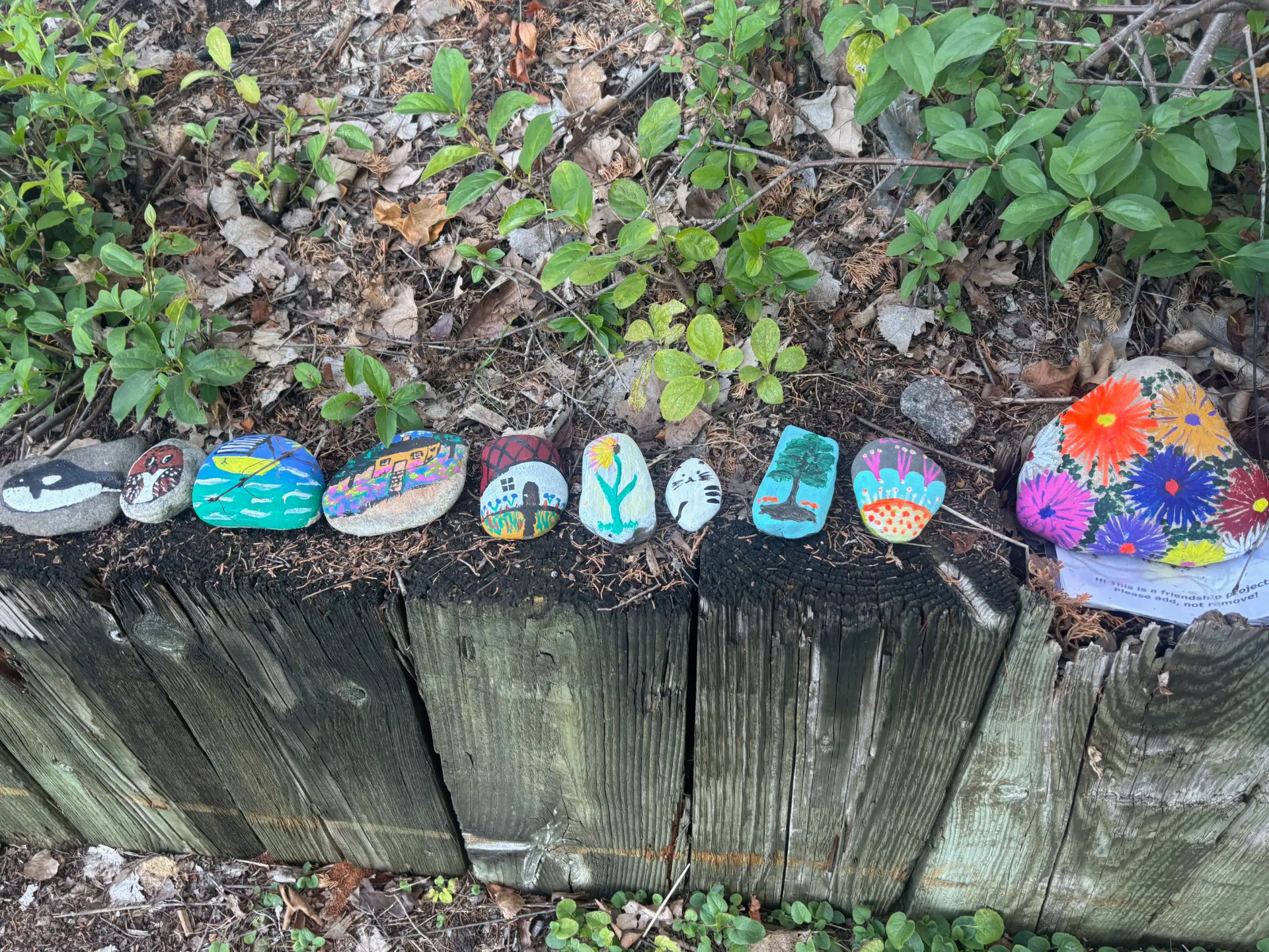 Please add, not remove!: hand-painted rock art by JRT