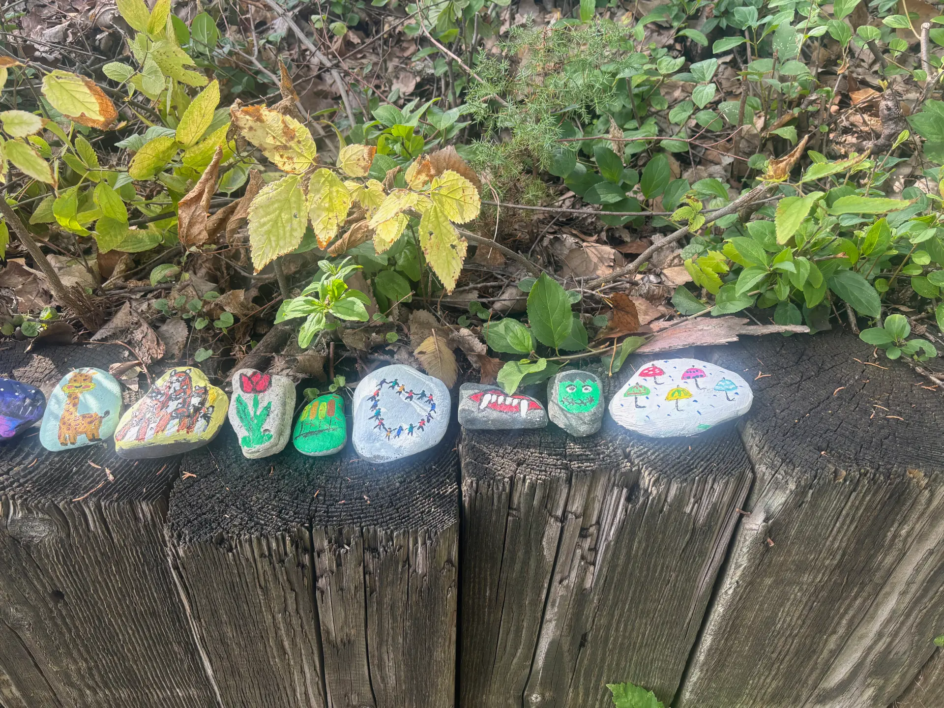 Stories along the garden path: hand-painted rock art by JRT