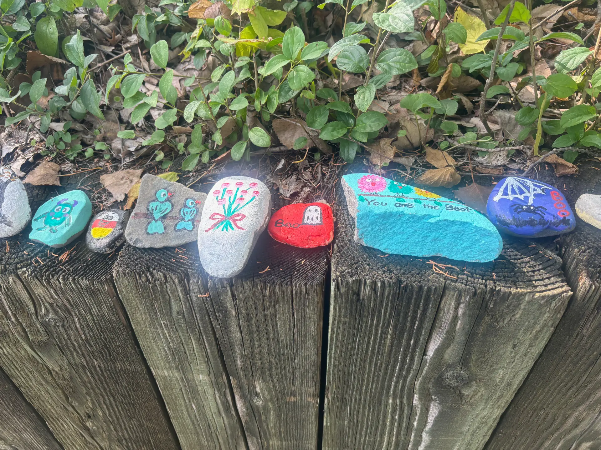 You are the best: hand-painted rock art by JRT