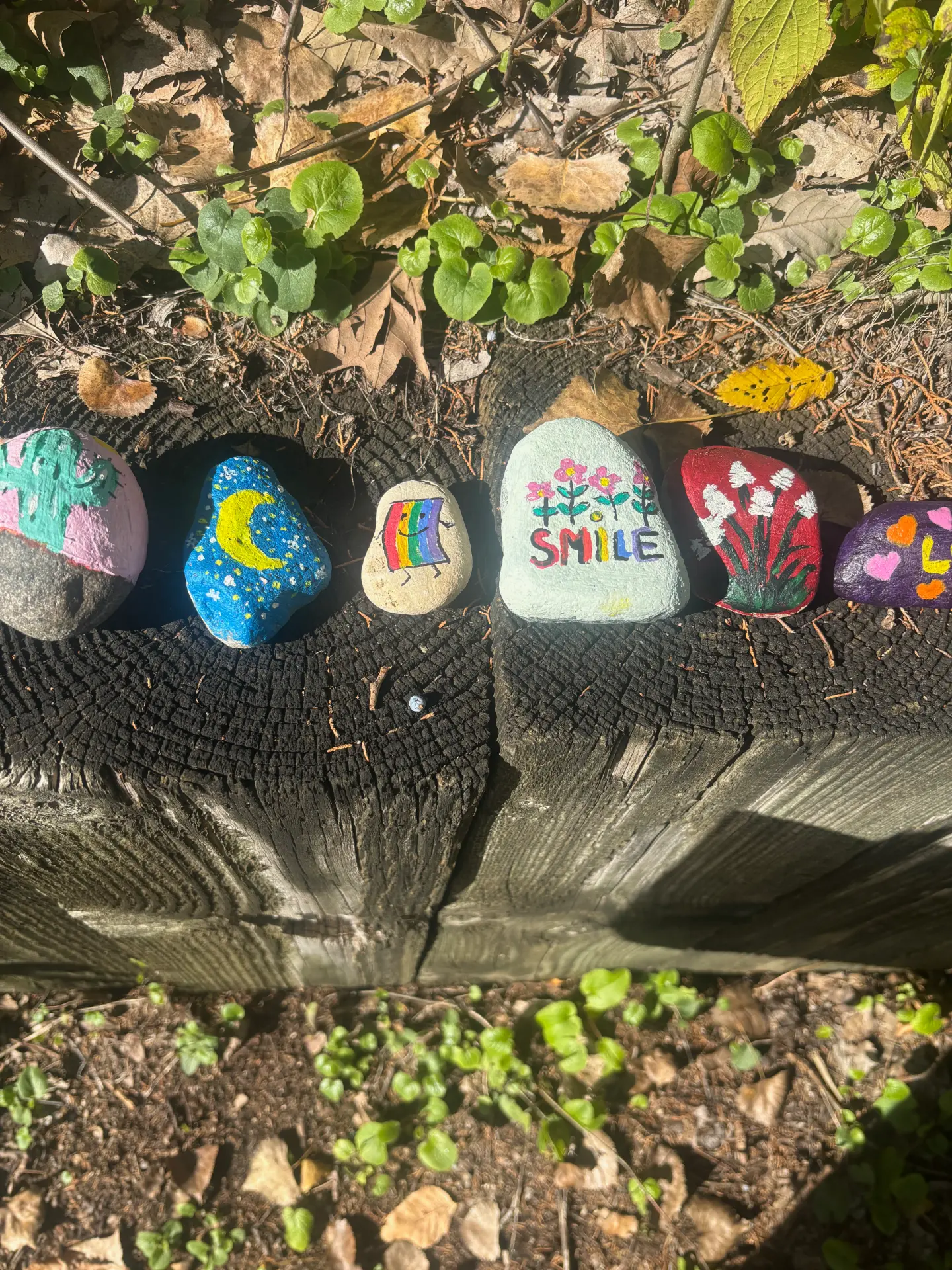 A reason to smile: hand-painted rock art by JRT