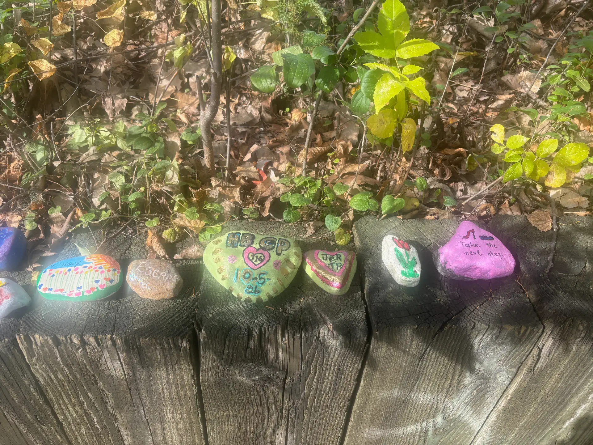 Take the next step: hand-painted rock art by JRT