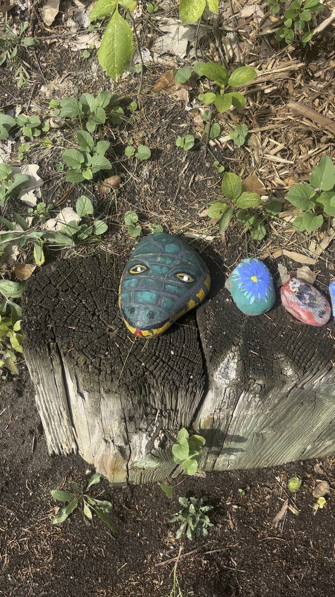 Wild little friends: hand-painted rock art by JRT