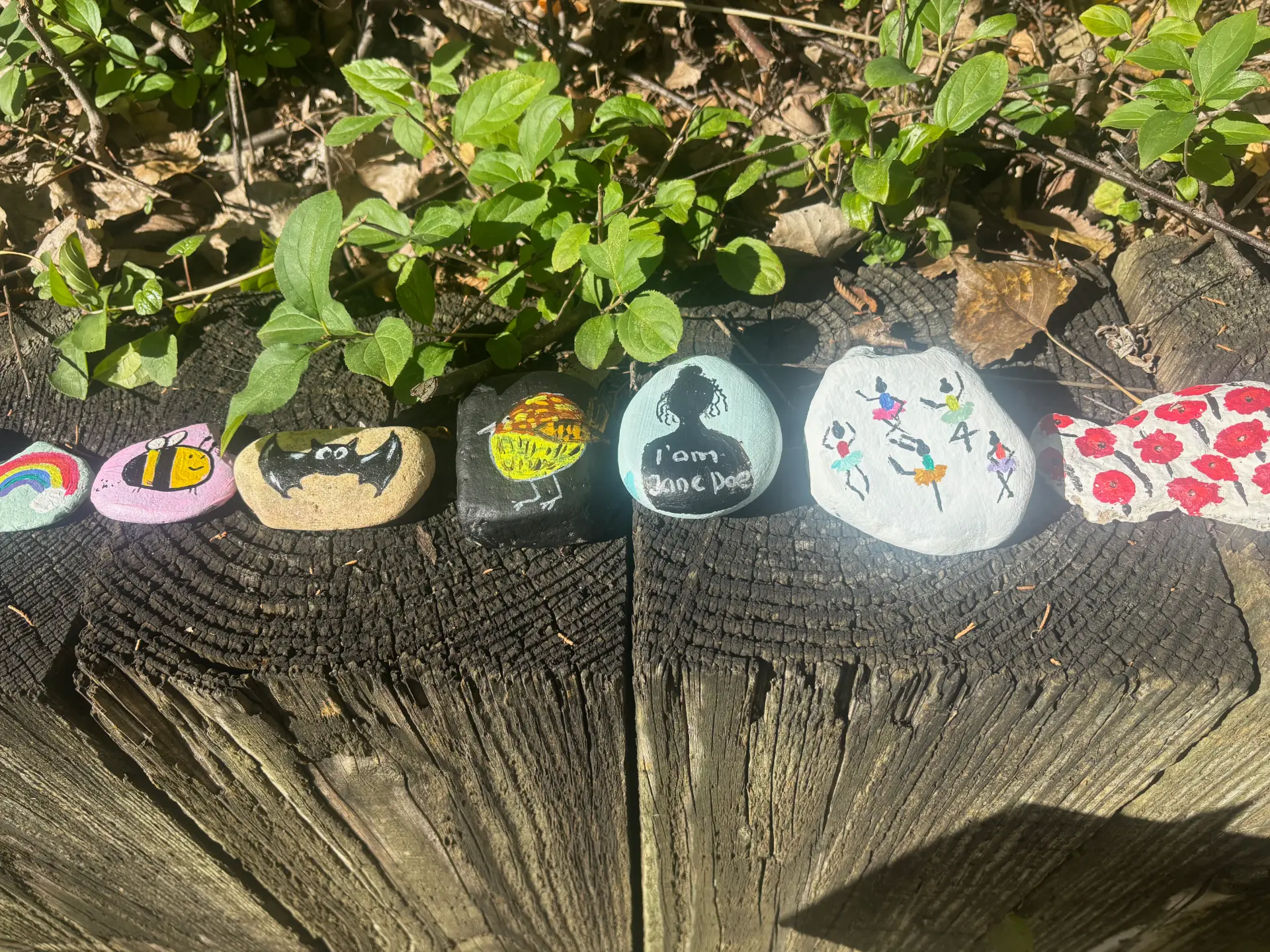 Bee yourself: hand-painted rock art by JRT