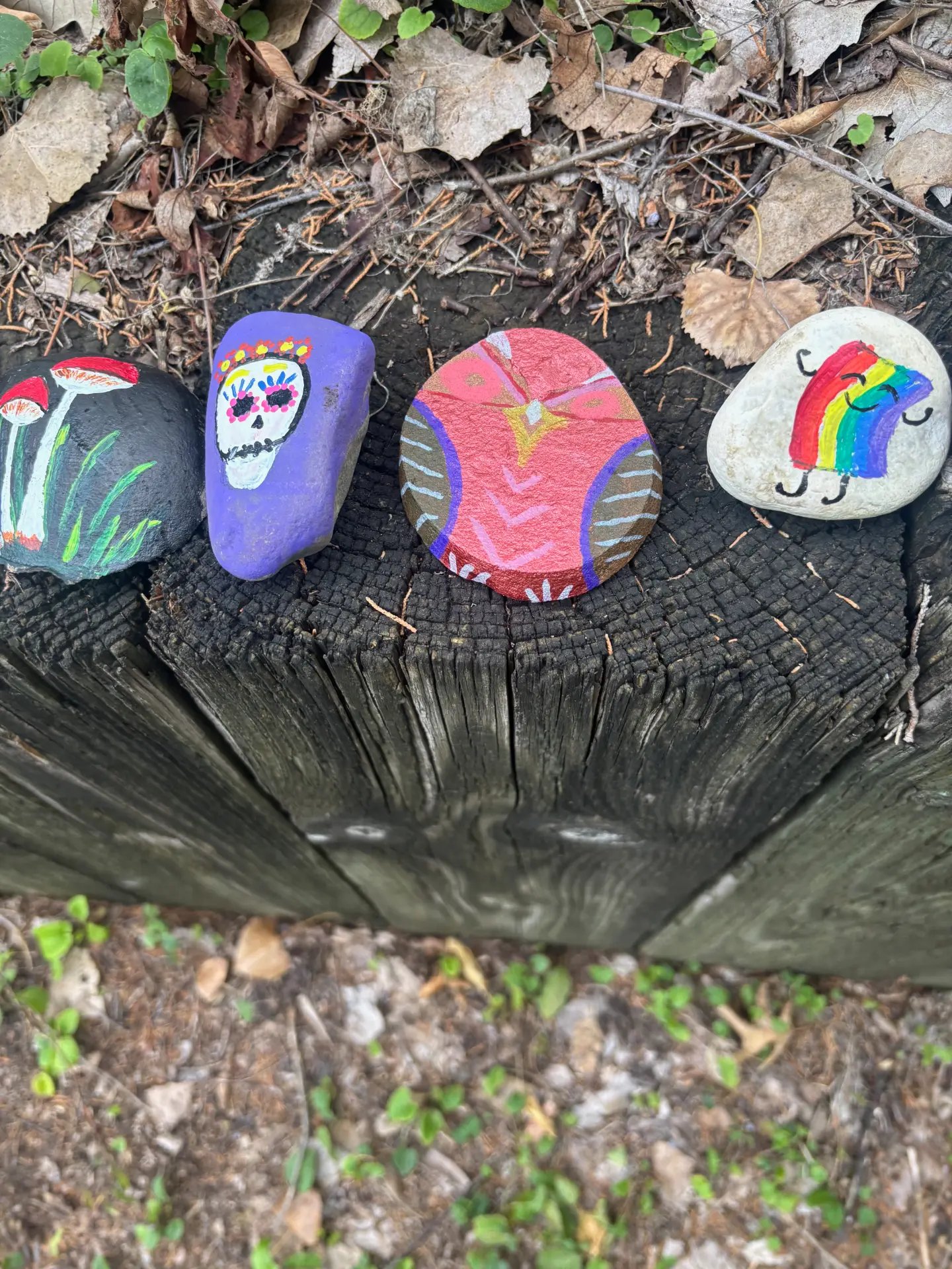 A rainbow with personality: hand-painted rock art by JRT